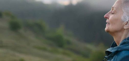 Blog How to Plan a Self-Guided Walking Tour in Your 50s and Beyond