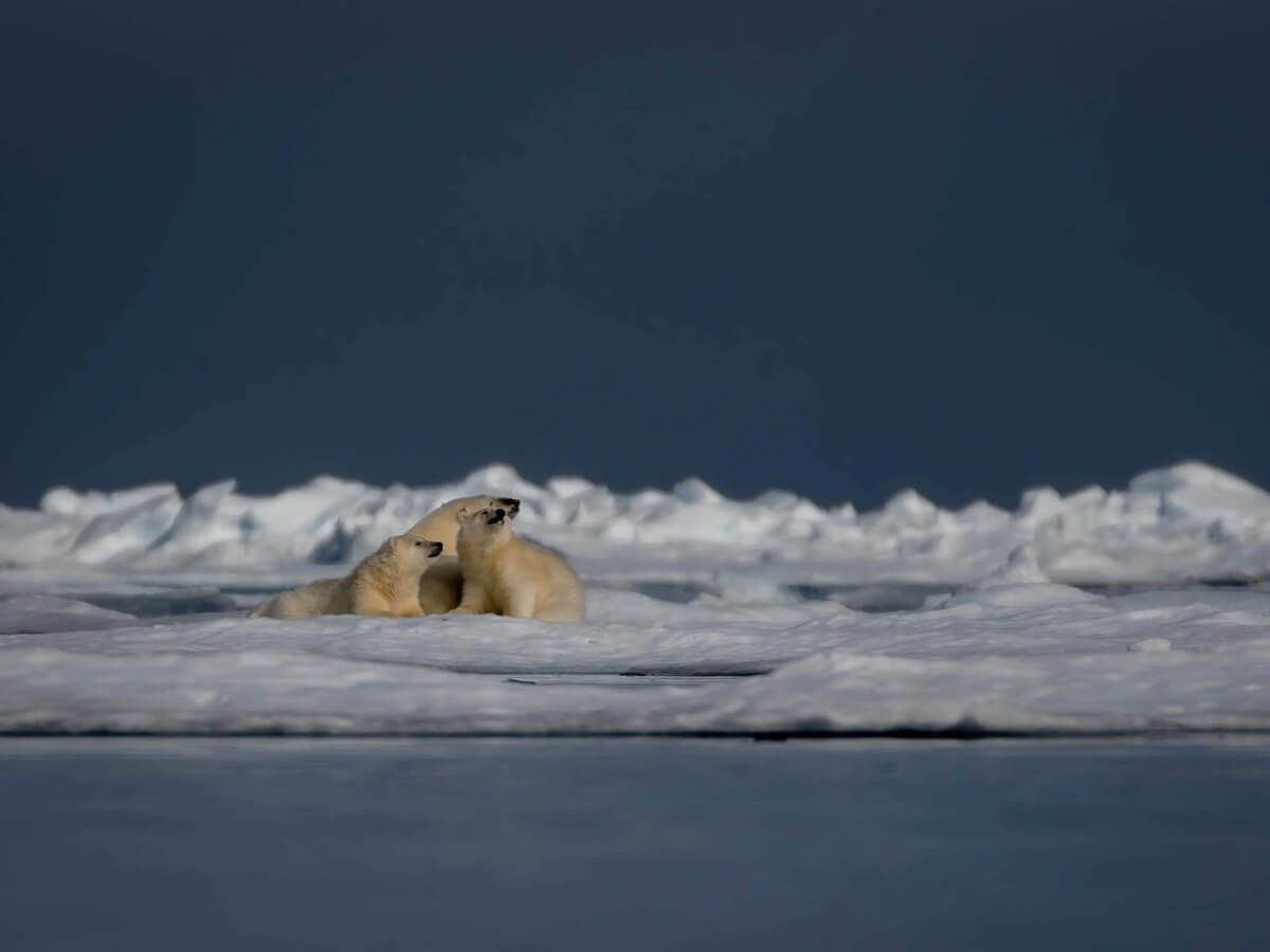 Bucket List Polar Why Choose