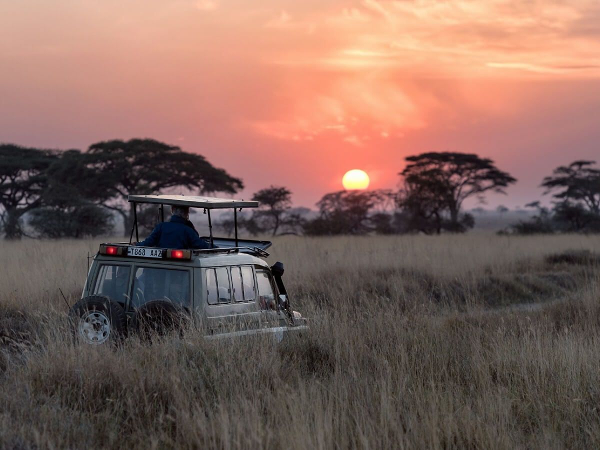 When To Go On Safair Bucket List