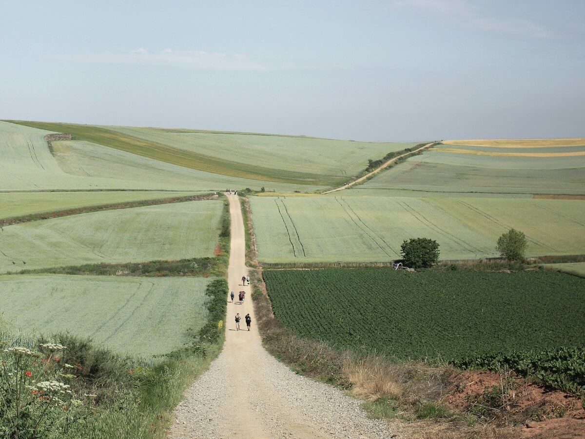 Camino not one route