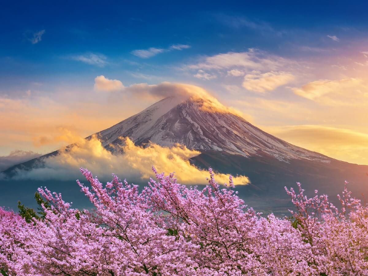 Why Japan should be on your bucket list