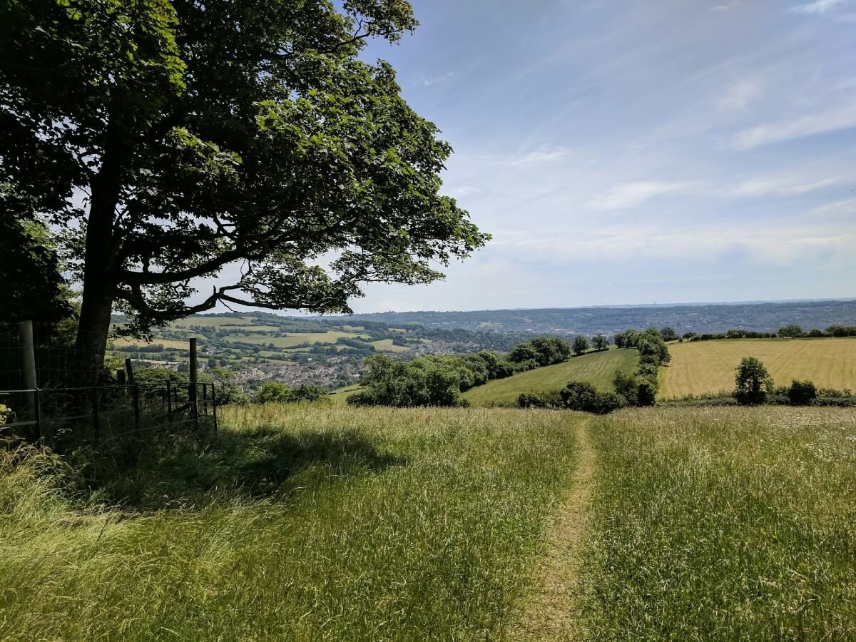 Cotswolds