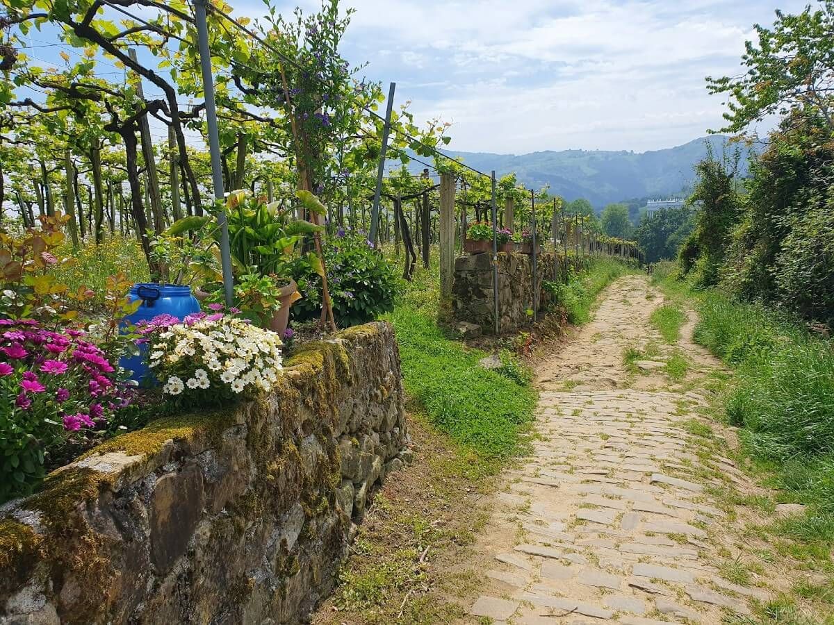 Camino stays with you