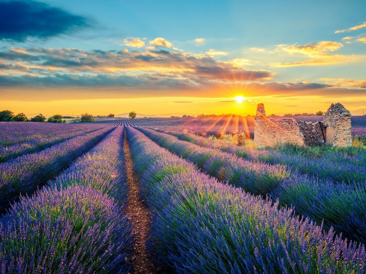 Provence