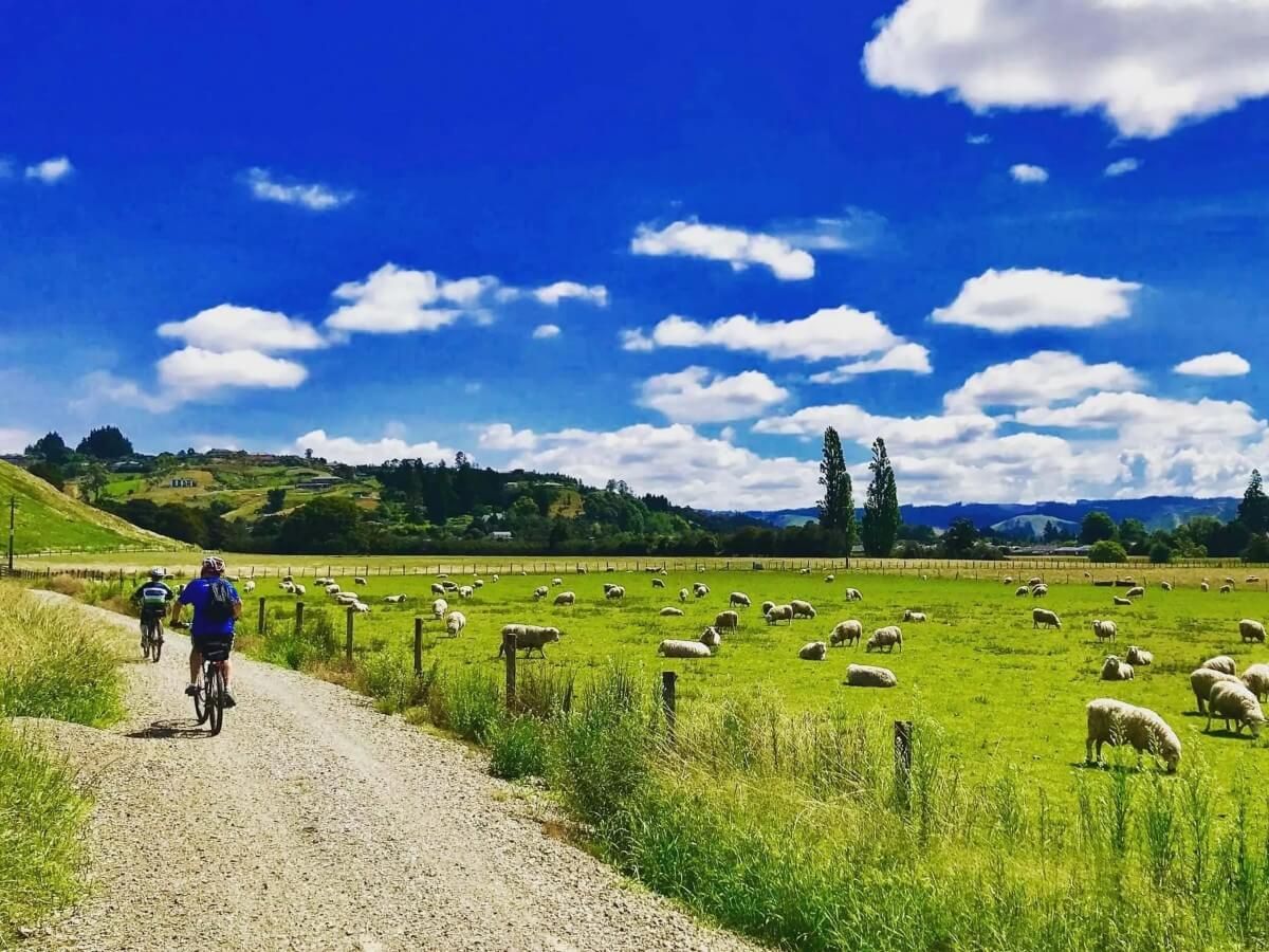 New Zealand