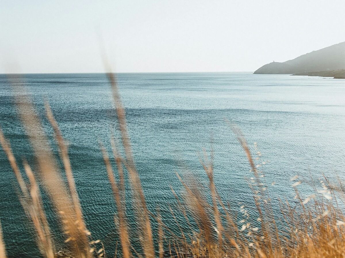 Andros