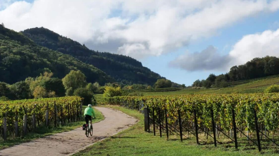 Blog Best Cycling Routes in France for the 50+ Adventurer