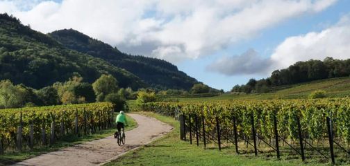 Blog Best Cycling Routes in France for the 50+ Adventurer