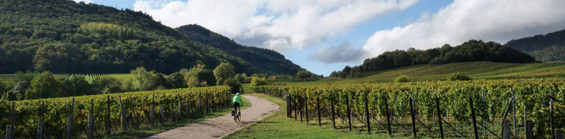 Blog Best Cycling Routes in France for the 50+ Adventurer