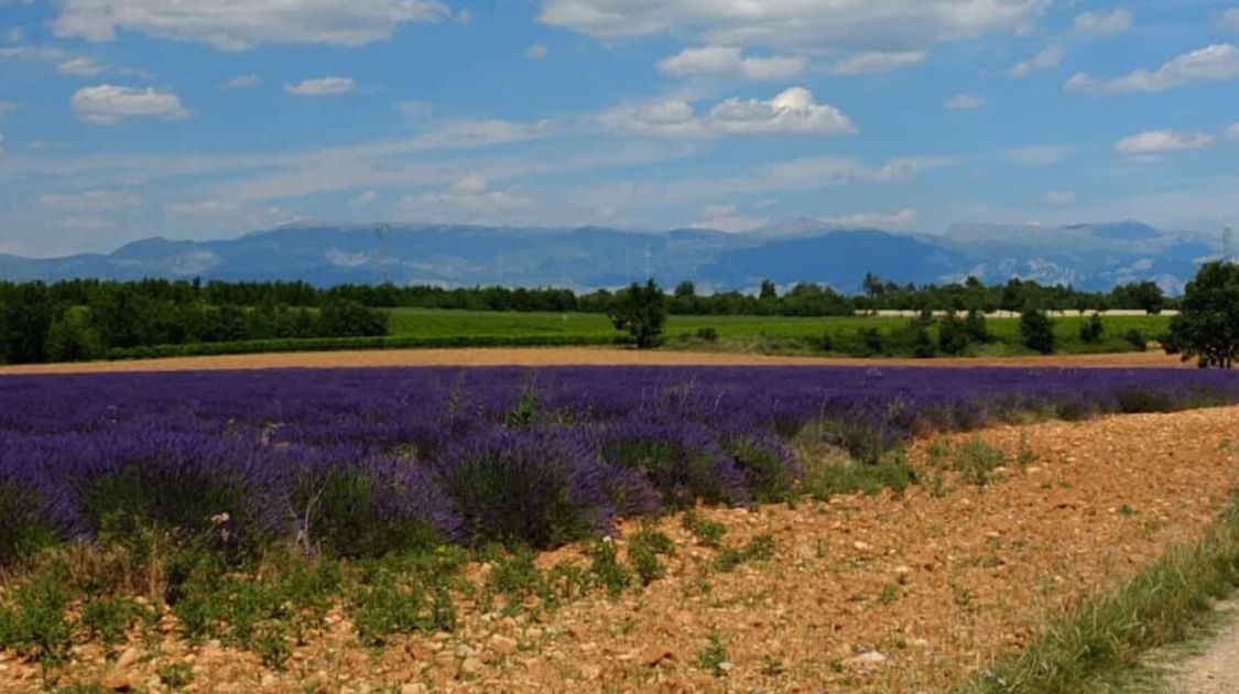 Blog Walking Holidays in Provence: Lavender Fields, Hilltop Villages & Sunshine