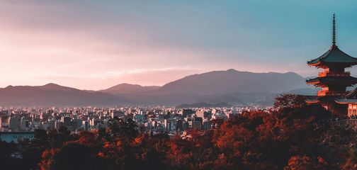 Top Cultural Experiences in Japan for the Over 50 Traveller