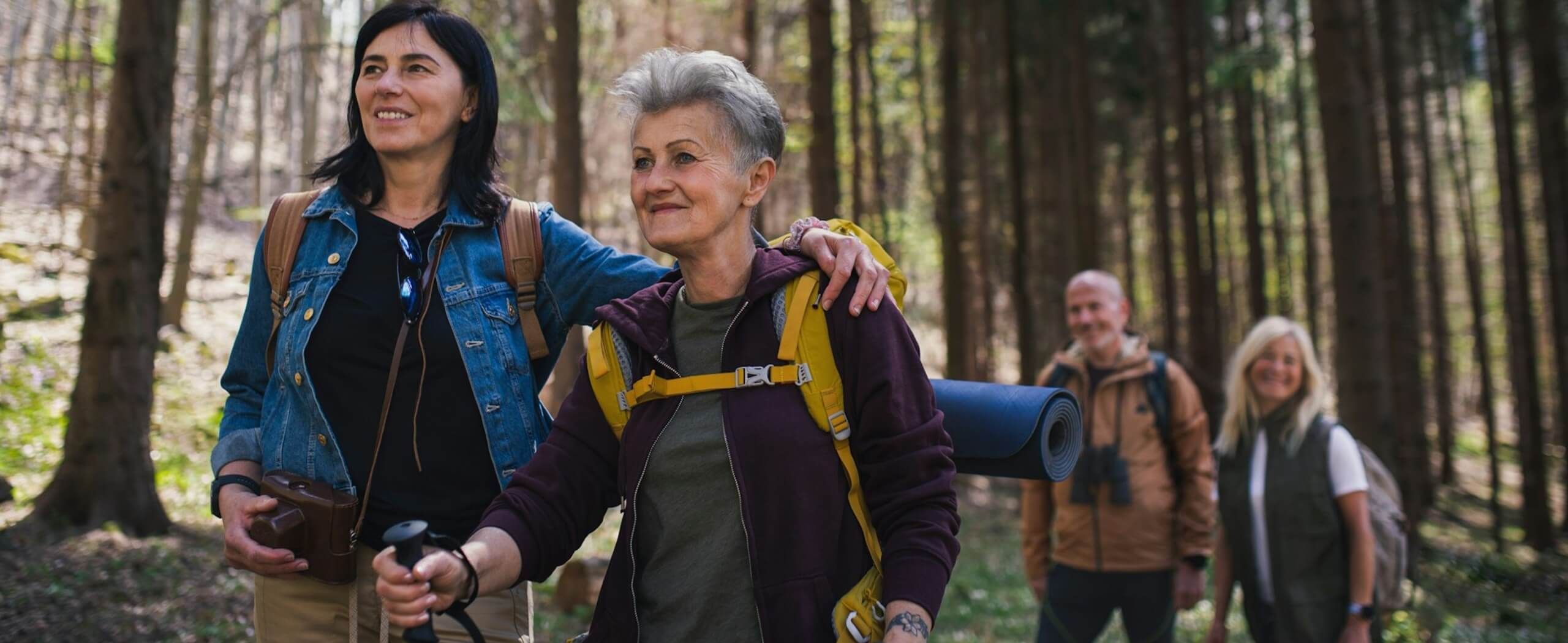 Guided vs. Self-Guided Tours: Which Is Right for Active Travellers Over 50?