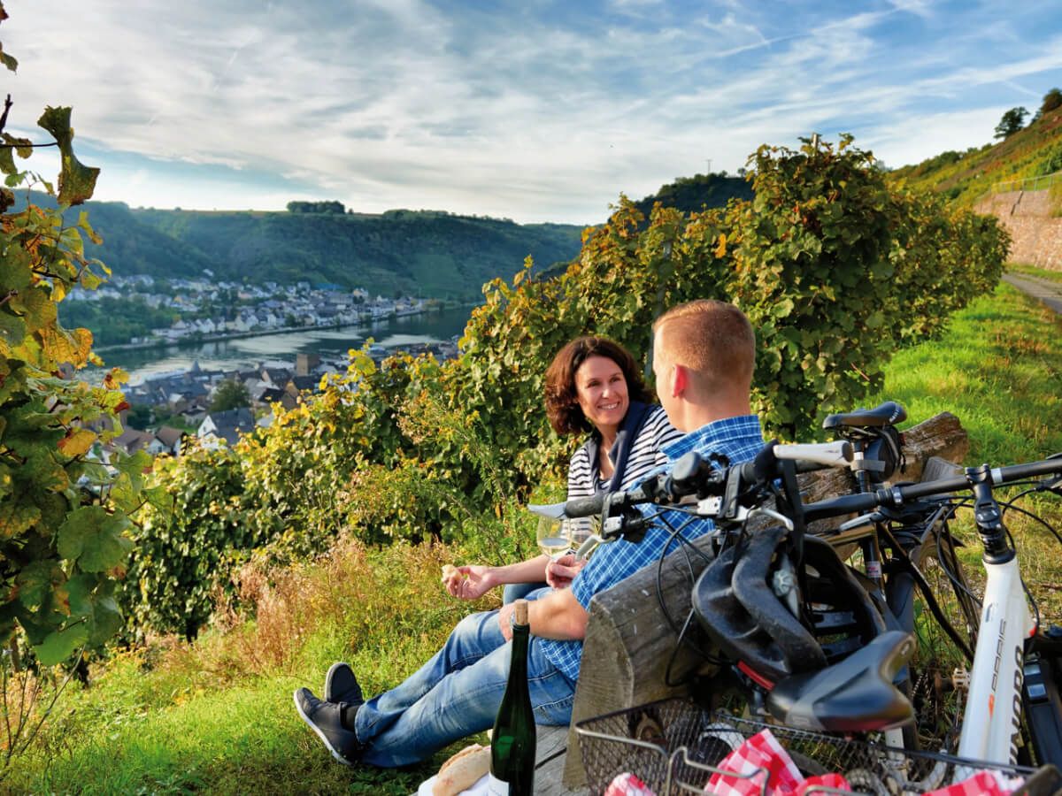 Moselle River Bike Tour in Germany
