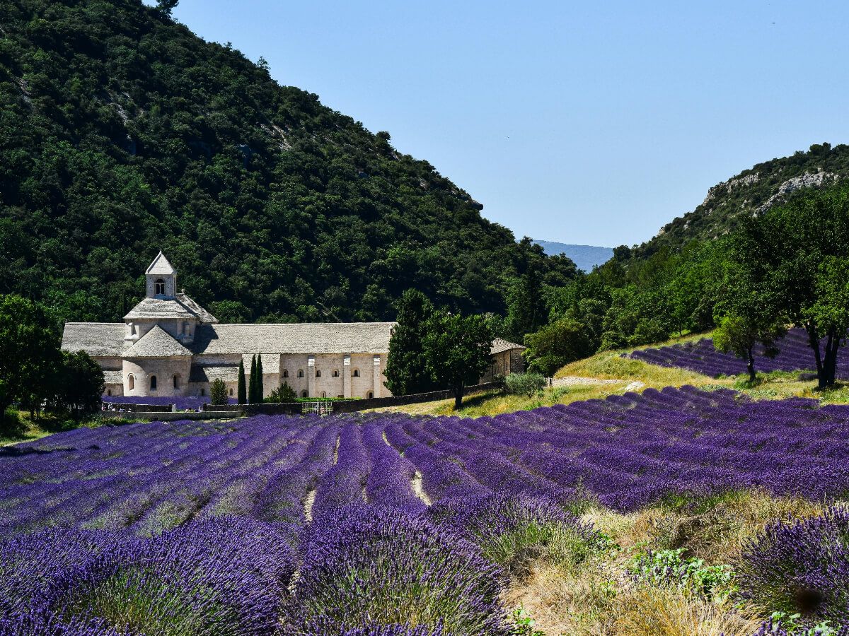 Provence Cycling Holidays
