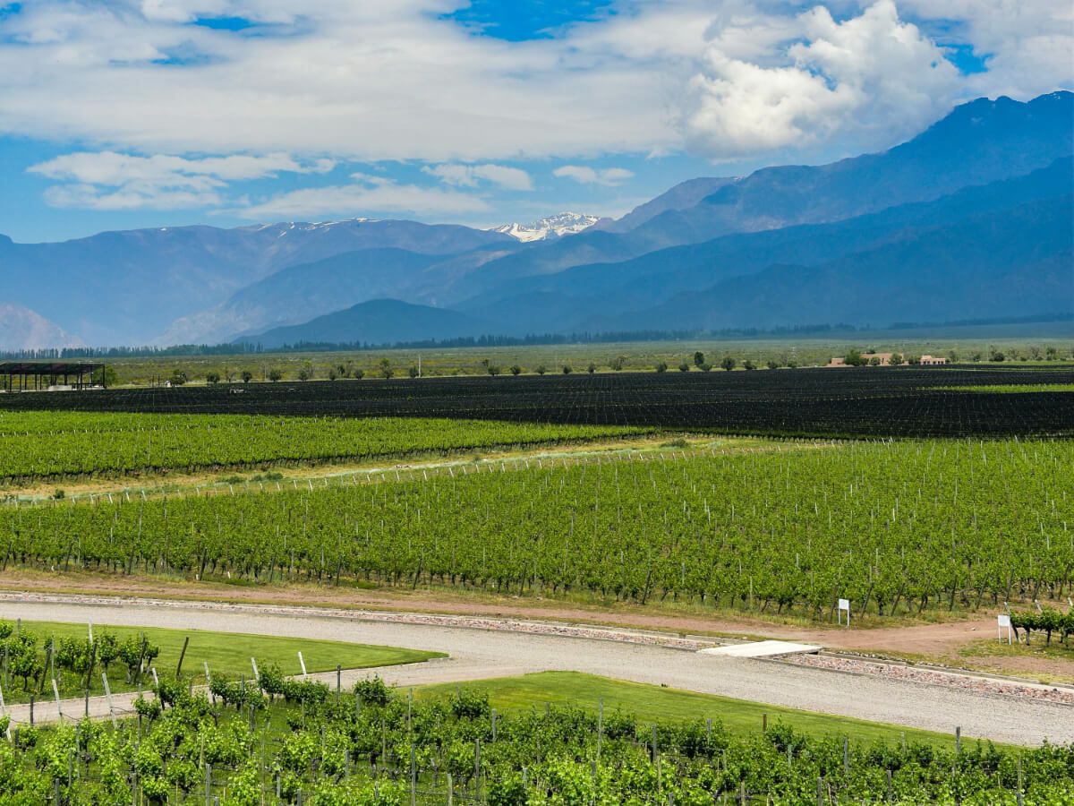 Mendoza Wine Country