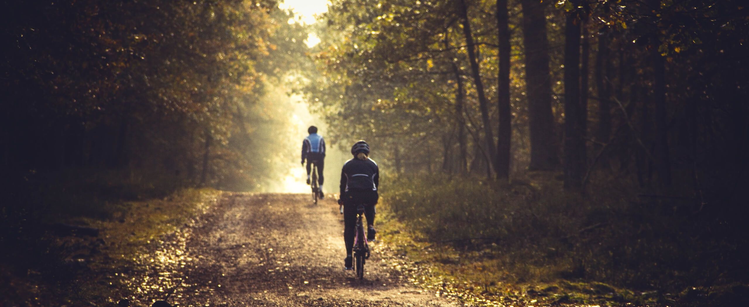 7 Self-Guided Cycling Tours Perfect for Active Travellers Over 50