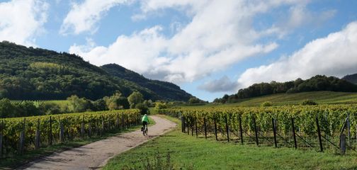 Best Cycling Routes in France for the 50+ Adventurer