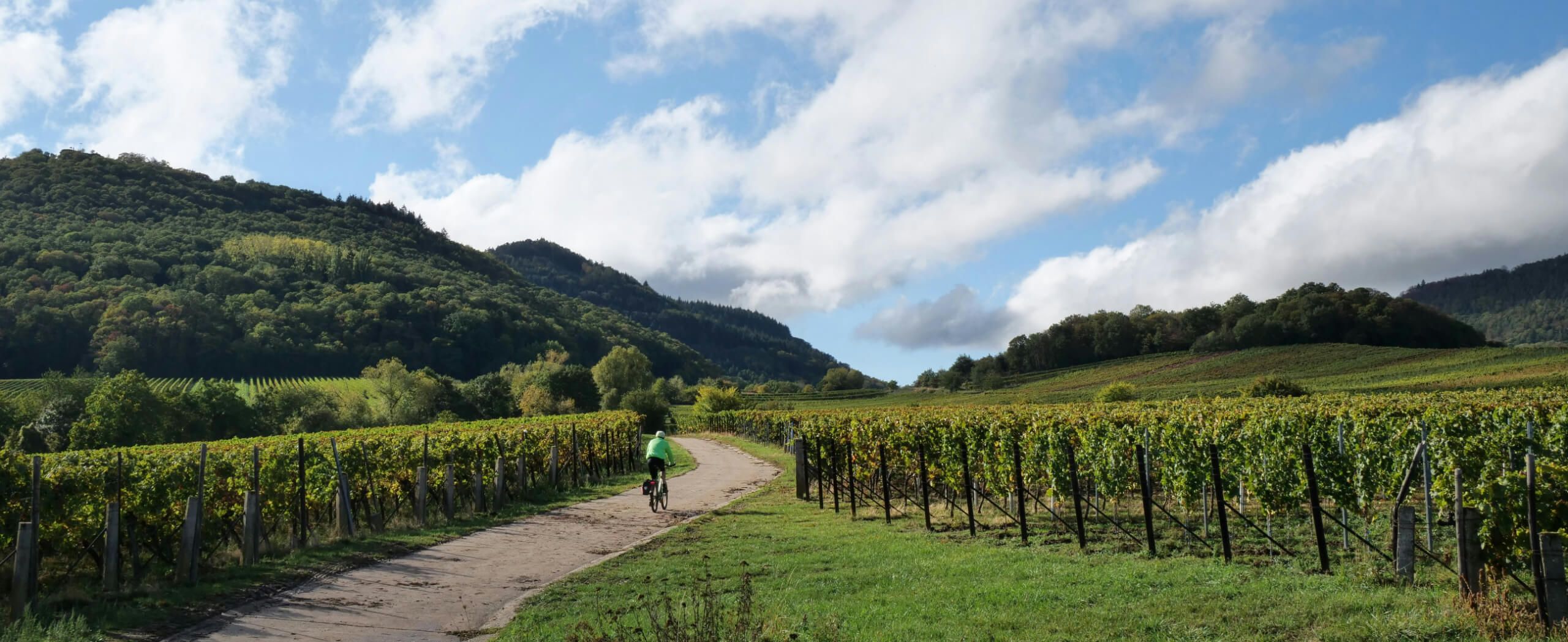 Best Cycling Routes in France for the 50+ Adventurer