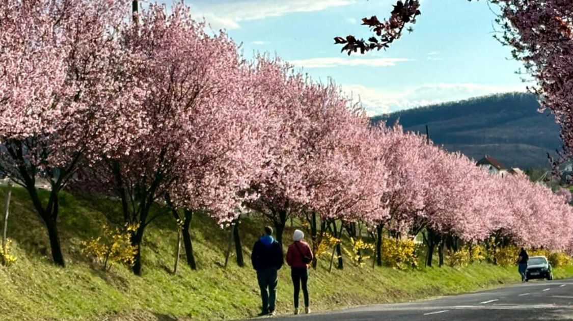 Blog Europe’s Best Spring Walking Tours for the Over-50 Traveller