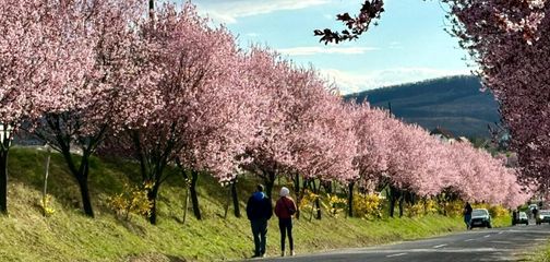 Blog Europe’s Best Spring Walking Tours for the Over-50 Traveller