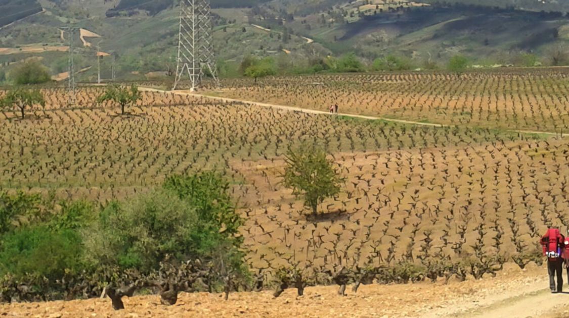 Blog The 6 Best Long-Distance Walking Routes in Spain for 2026