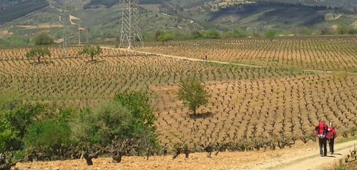 Blog The 6 Best Long-Distance Walking Routes in Spain for 2026