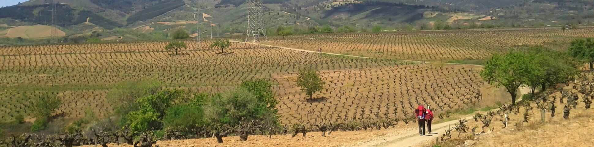 Blog The 6 Best Long-Distance Walking Routes in Spain for 2026