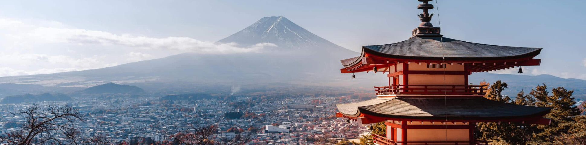 Blog Why You Should Visit Japan in 2026