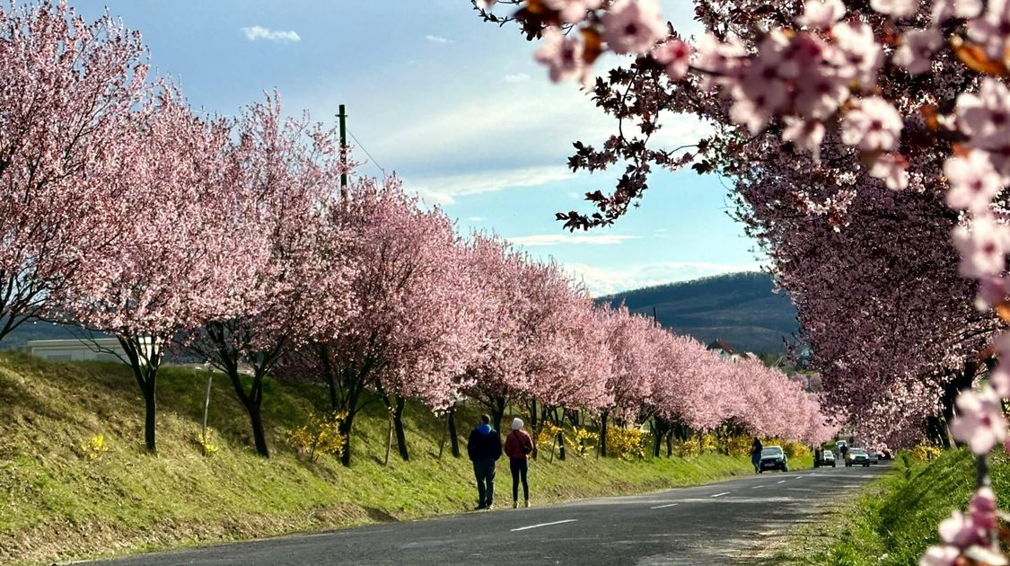 Europe’s Best Spring Walking Tours for the Over-50 Traveller