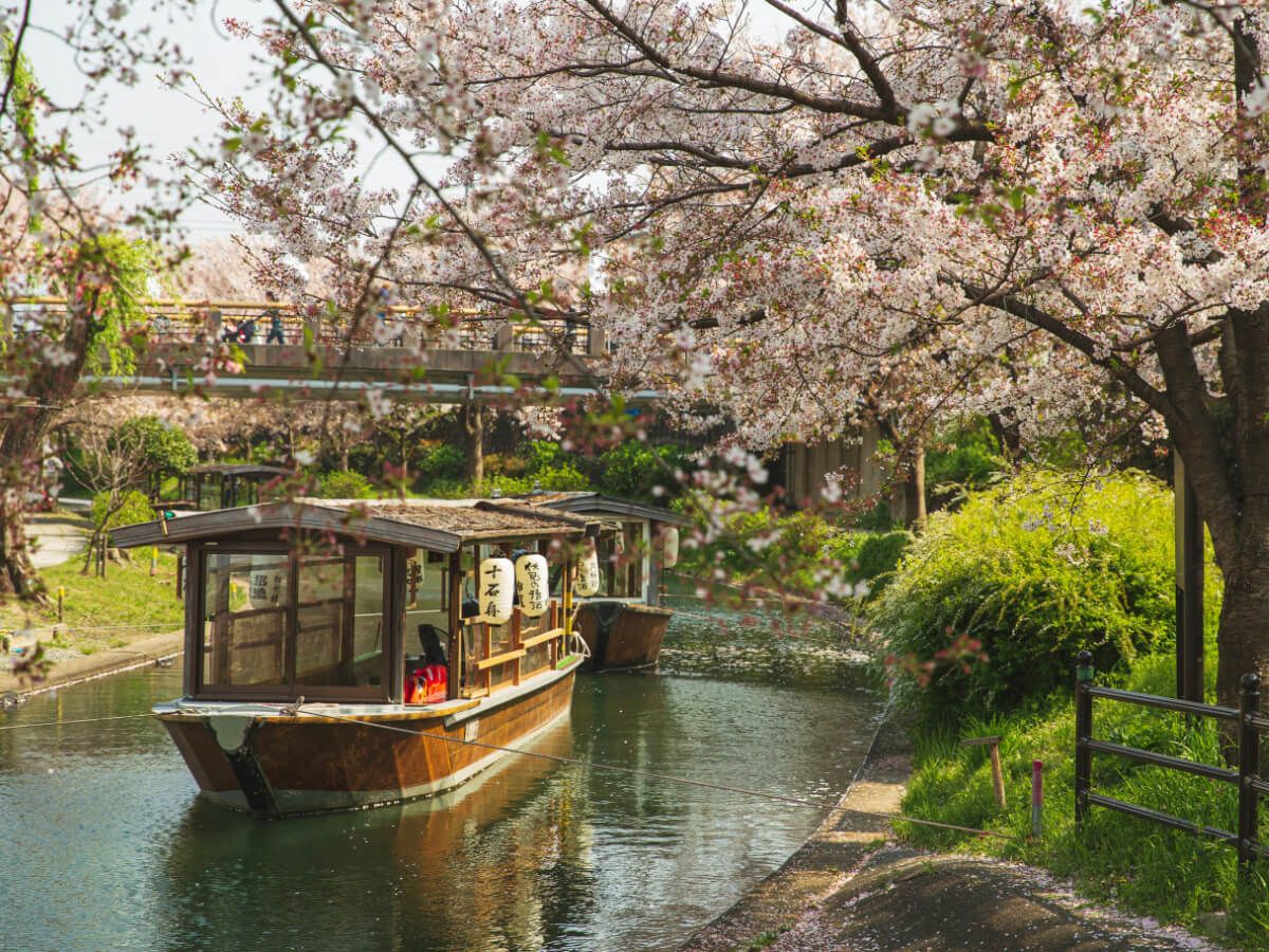 Japans Seasons A Symphony of Nature