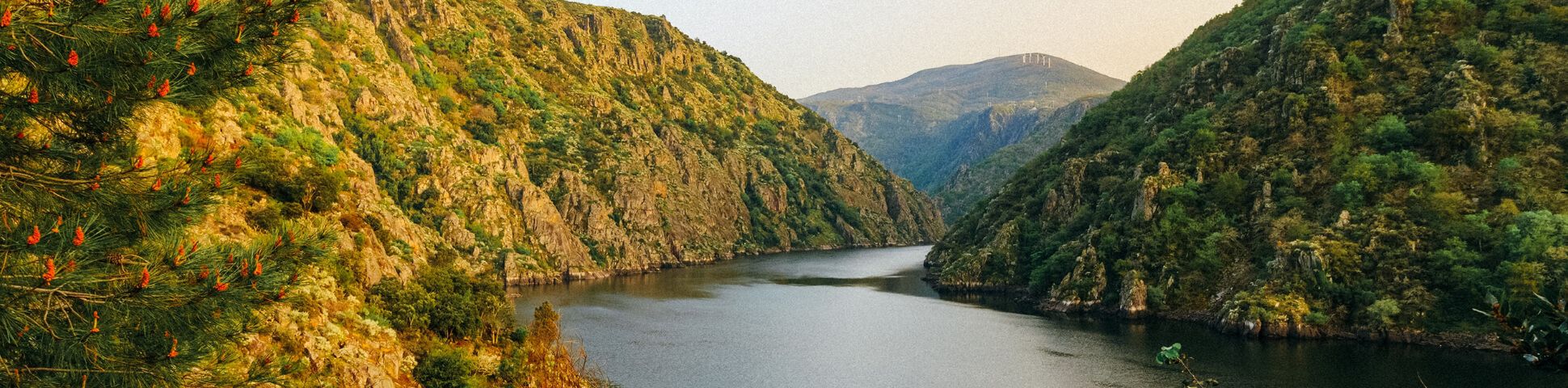 Blog A Pilgrims Guide to the Camino Primitivo in 2026