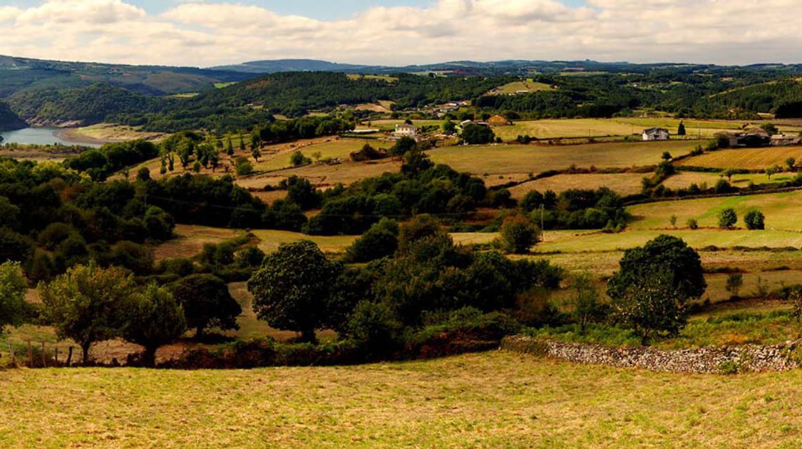 Blog How to Prepare for the Camino de Santiago