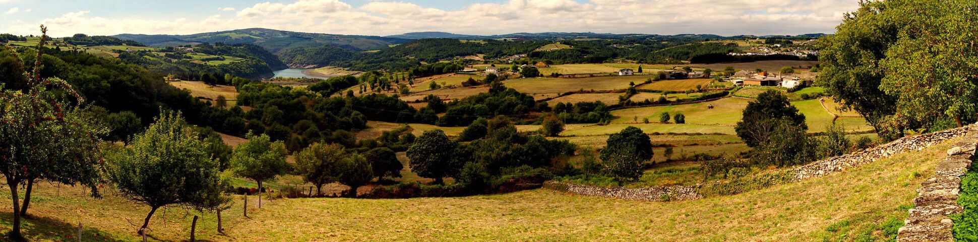 Blog How to Prepare for the Camino de Santiago