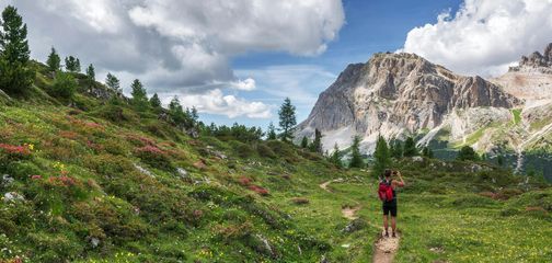Blog Trekking in the Alps