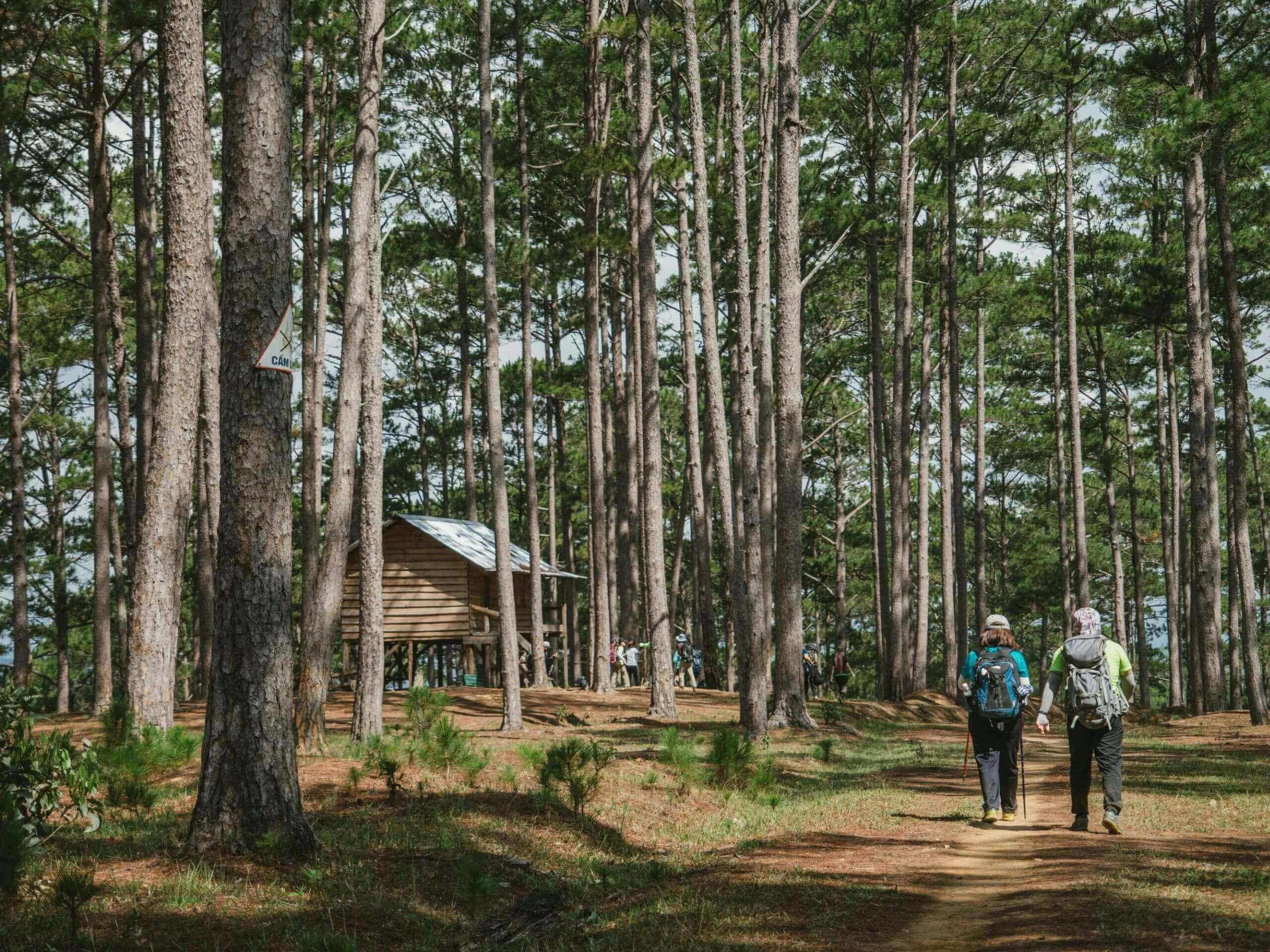 Couple with backpacks walking through the forest toward cabin