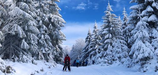 Elk Lakes Backcountry Skiing Adventure