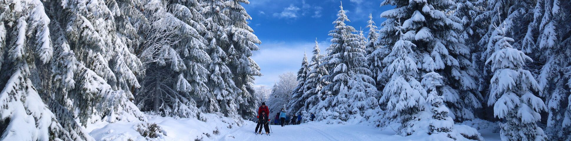 Elk Lakes Backcountry Skiing Adventure