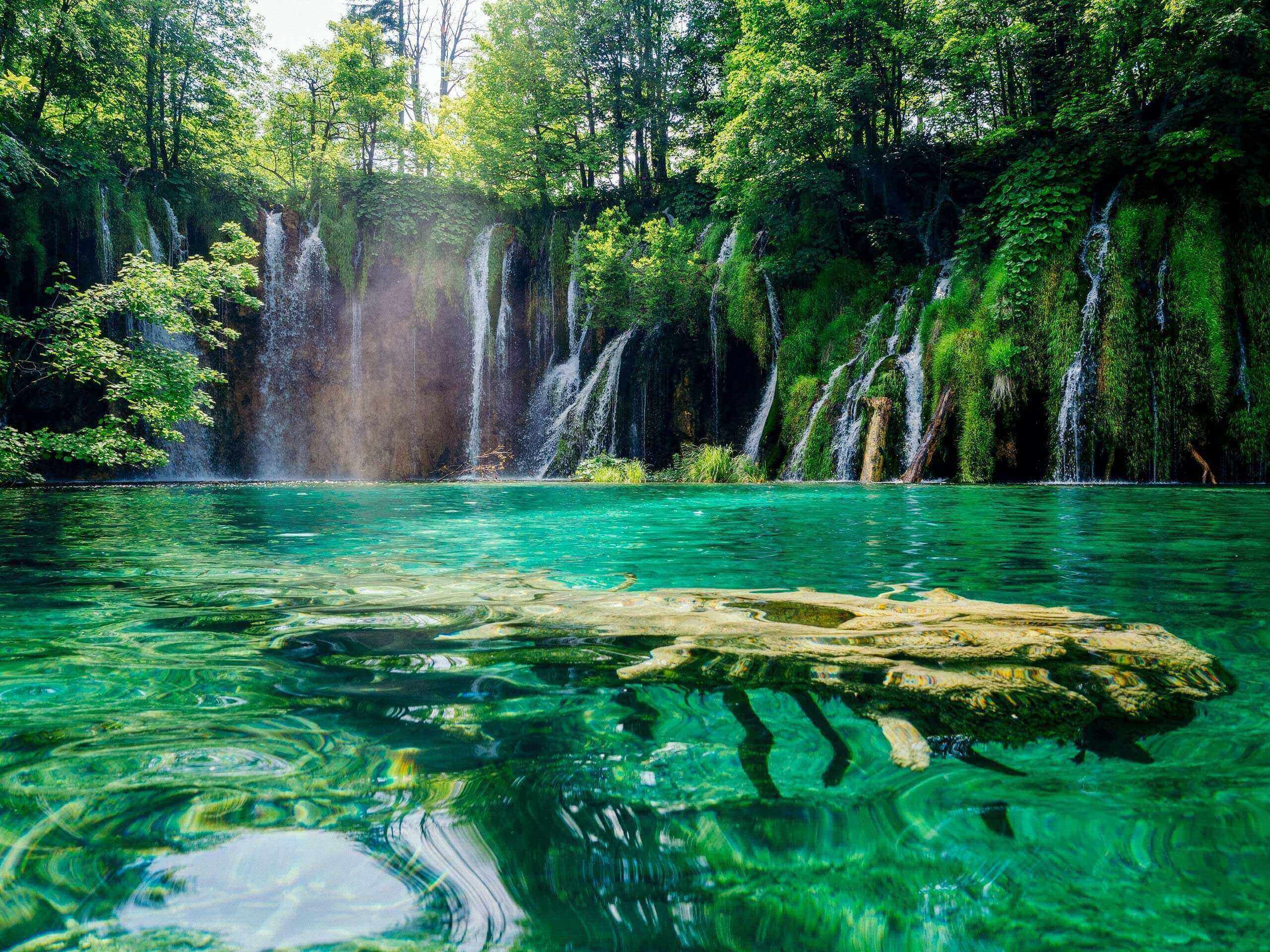 Fallen tree in clear aqua waters Plitvice Lakes National Park