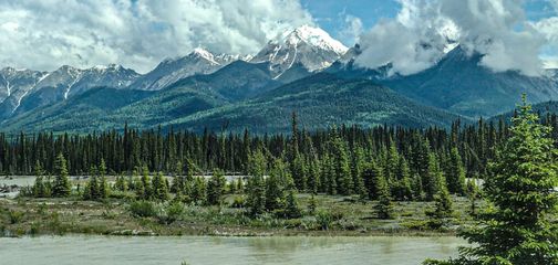 The Ultimate Guide to Kootenay National Park