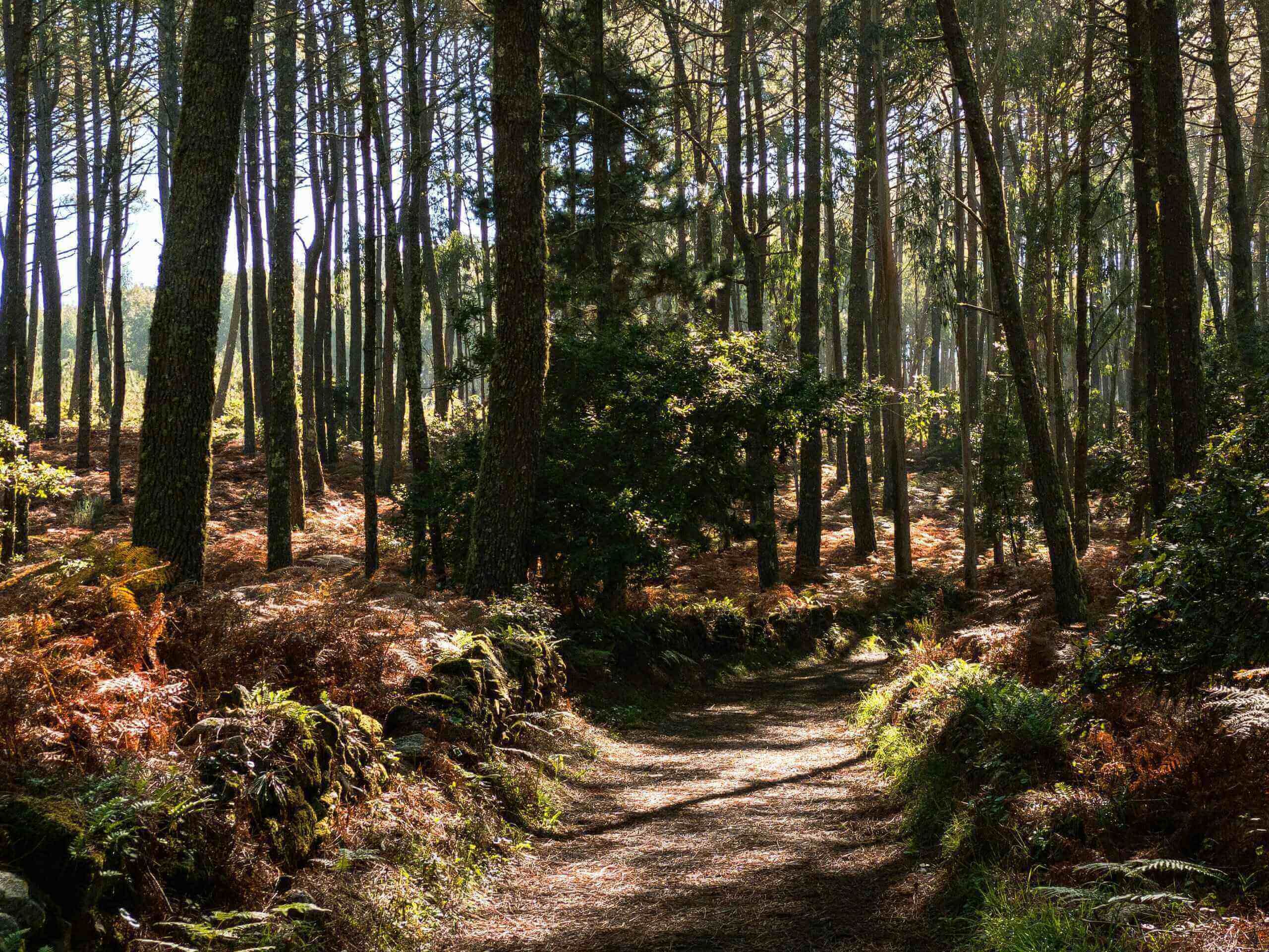 Short and sweet, four-to-five-day pilgrimage