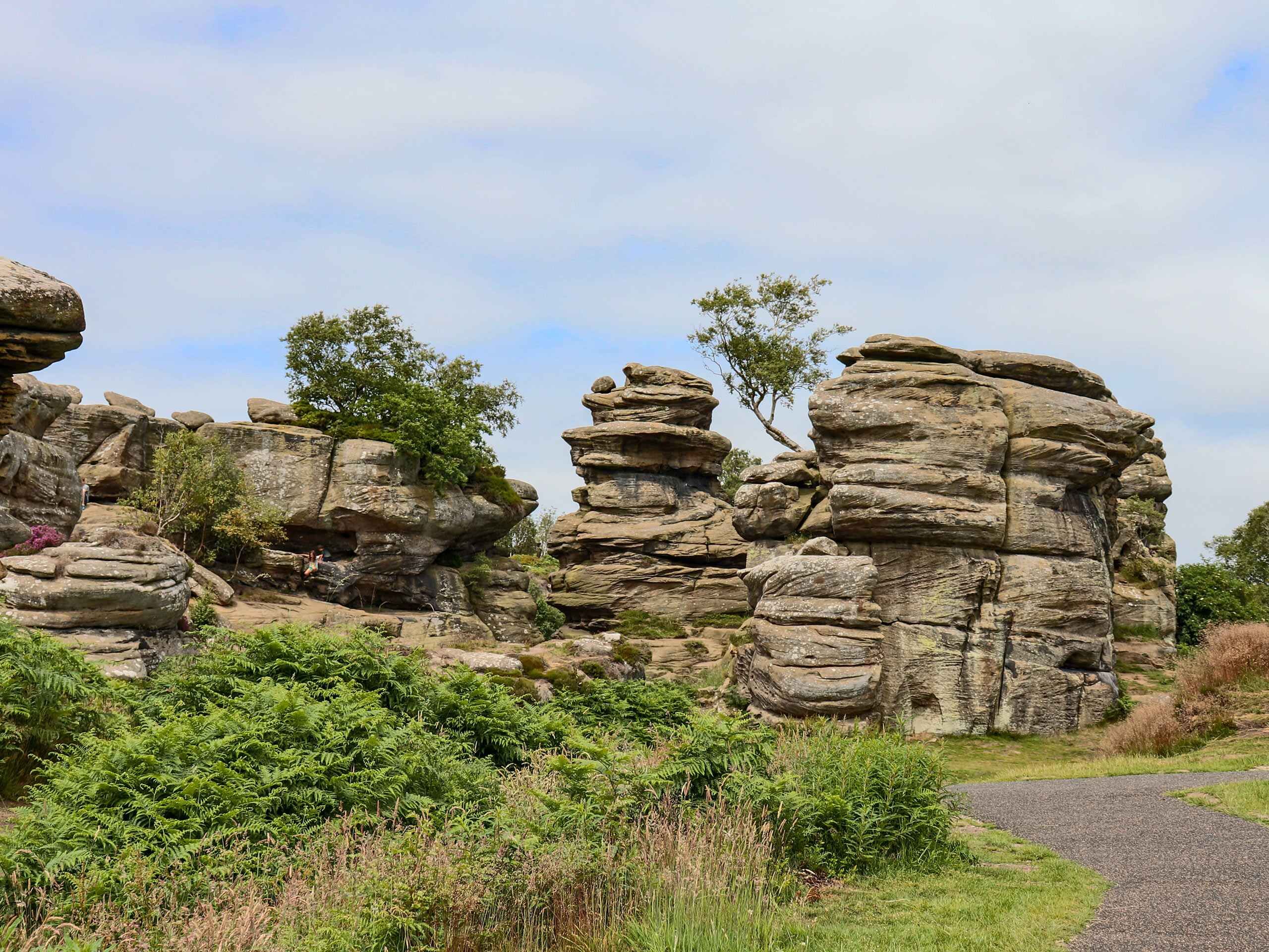 Nidderdale Brimham Rocks and Moor Walk near Manchester