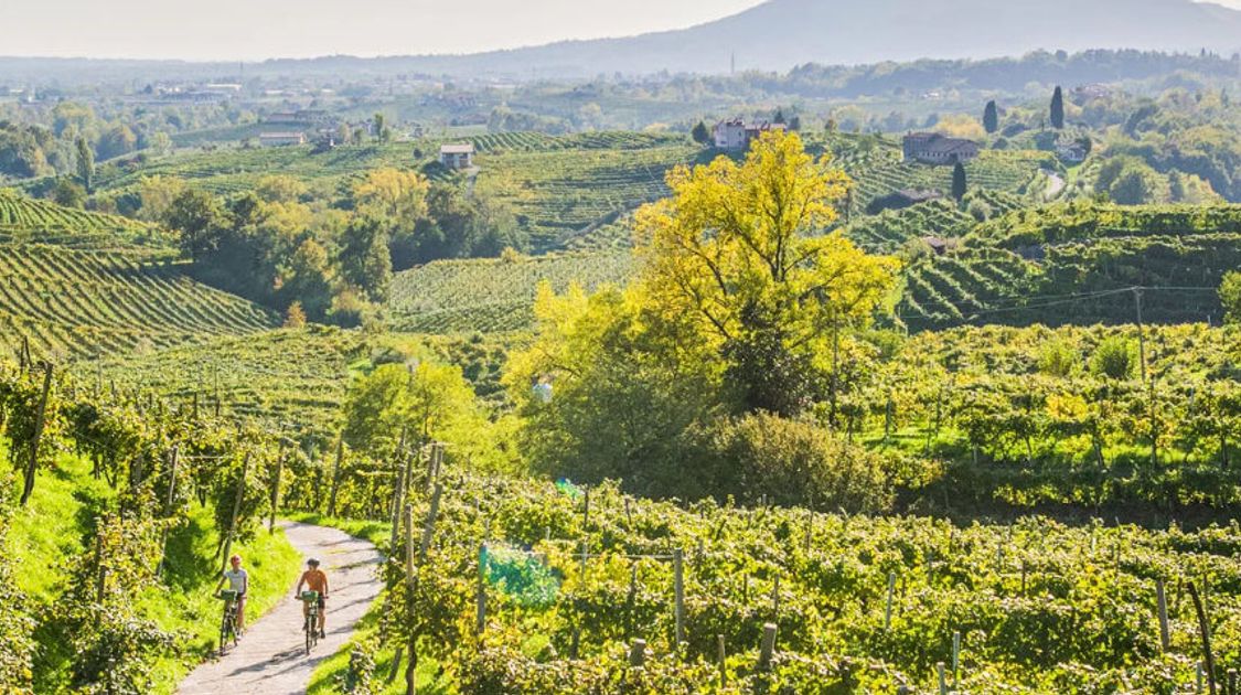 Alpe Adria Trail: The Ultimate Guide to a Self-Guided Alpe Adria Tour in 2026