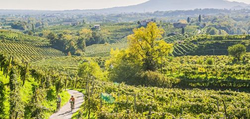 Alpe Adria Trail: The Ultimate Guide to a Self-Guided Alpe Adria Tour in 2026