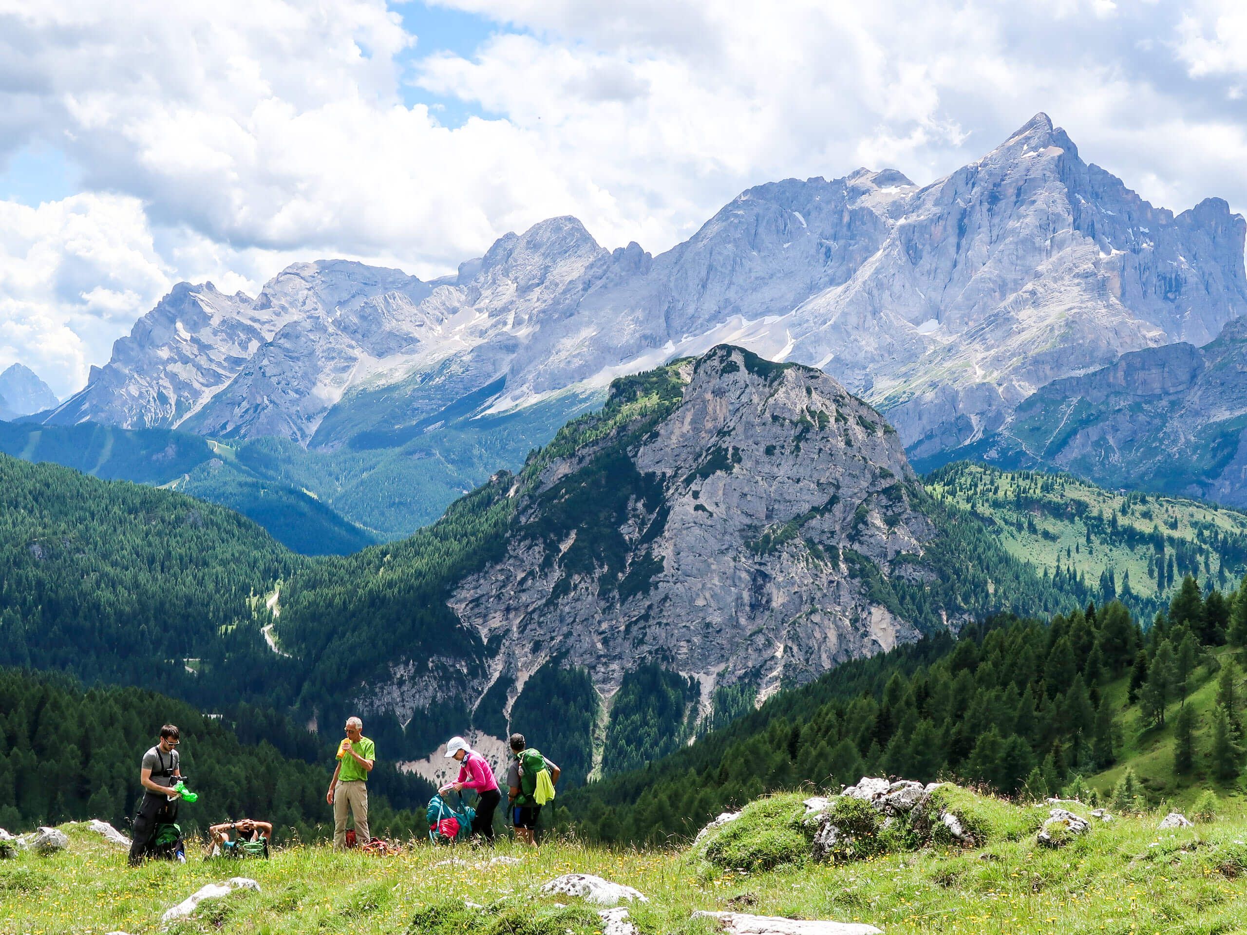 Alpine Meadows and Dolomite Mountains on Alta Via 1