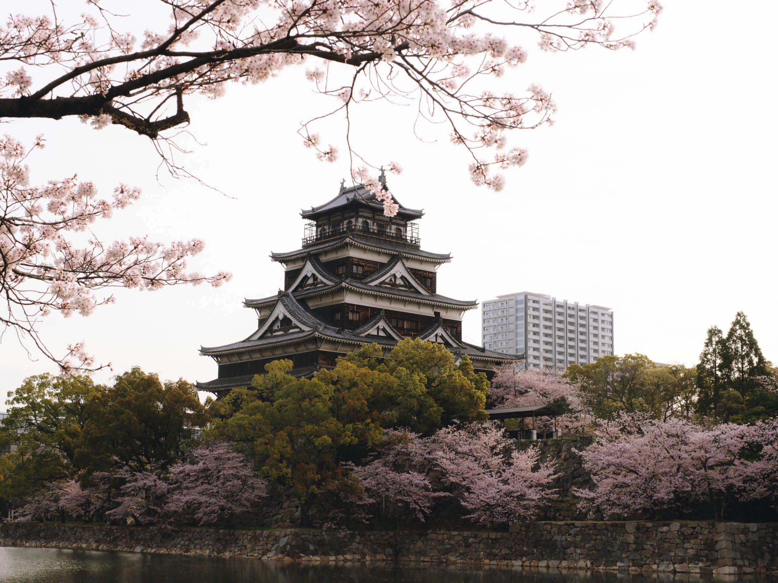 Hiroshima Castle surrounded by cherry blossoms in spring