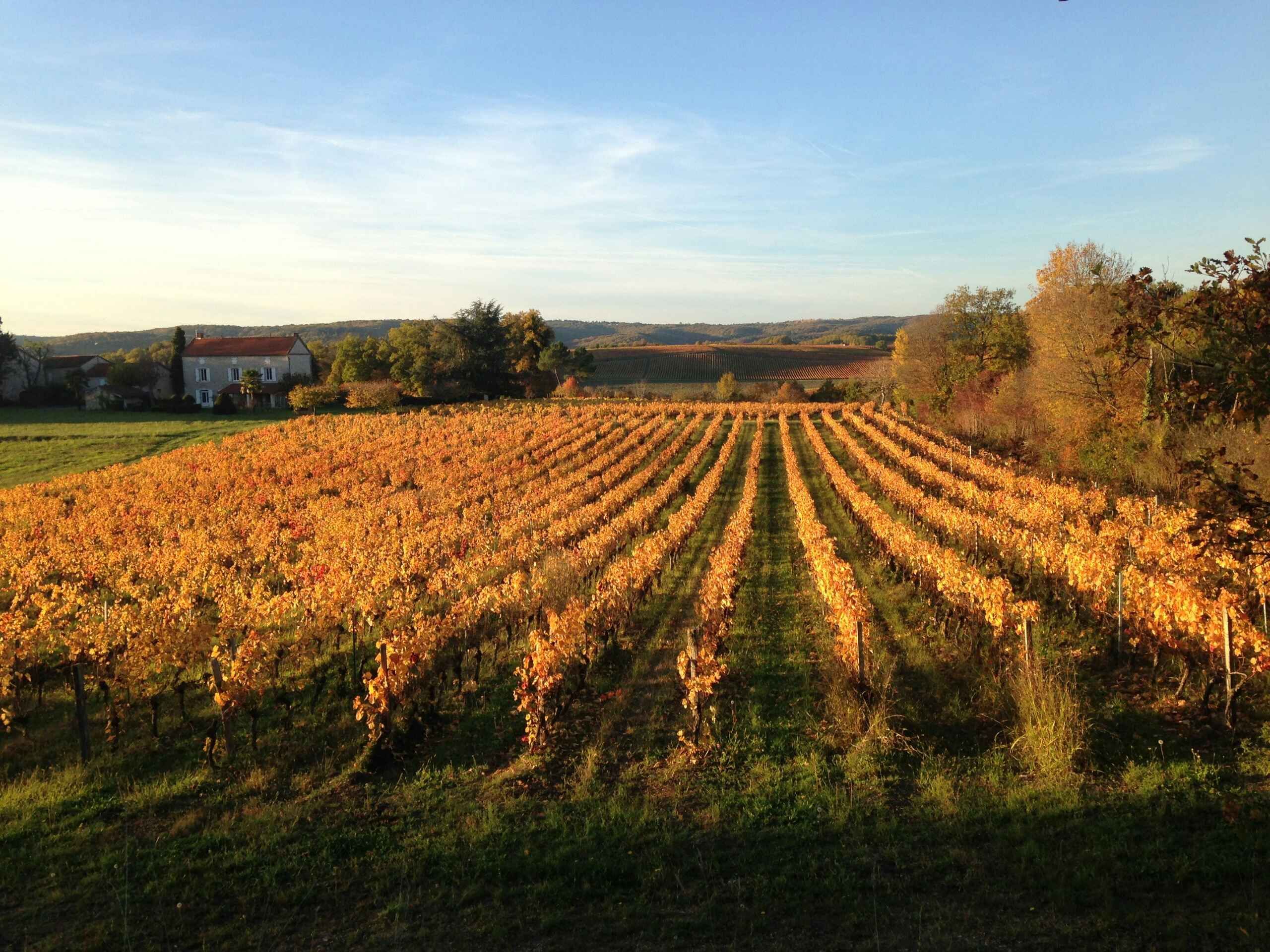 Rural Landscape near Cahors, France