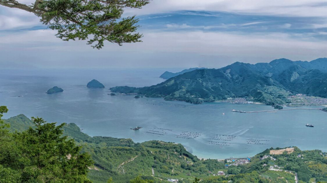 Kumano Kodo Trail Guide: Routes, Itinerary and Tours for 2026