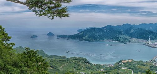 Kumano Kodo Trail Guide: Routes, Itinerary and Tours for 2026