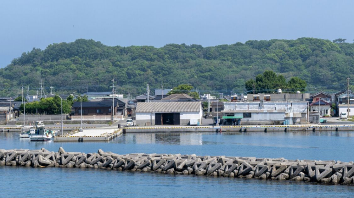 Michinoku Coastal Trail Guide: Japan’s Wild Coastal Hike for 2026