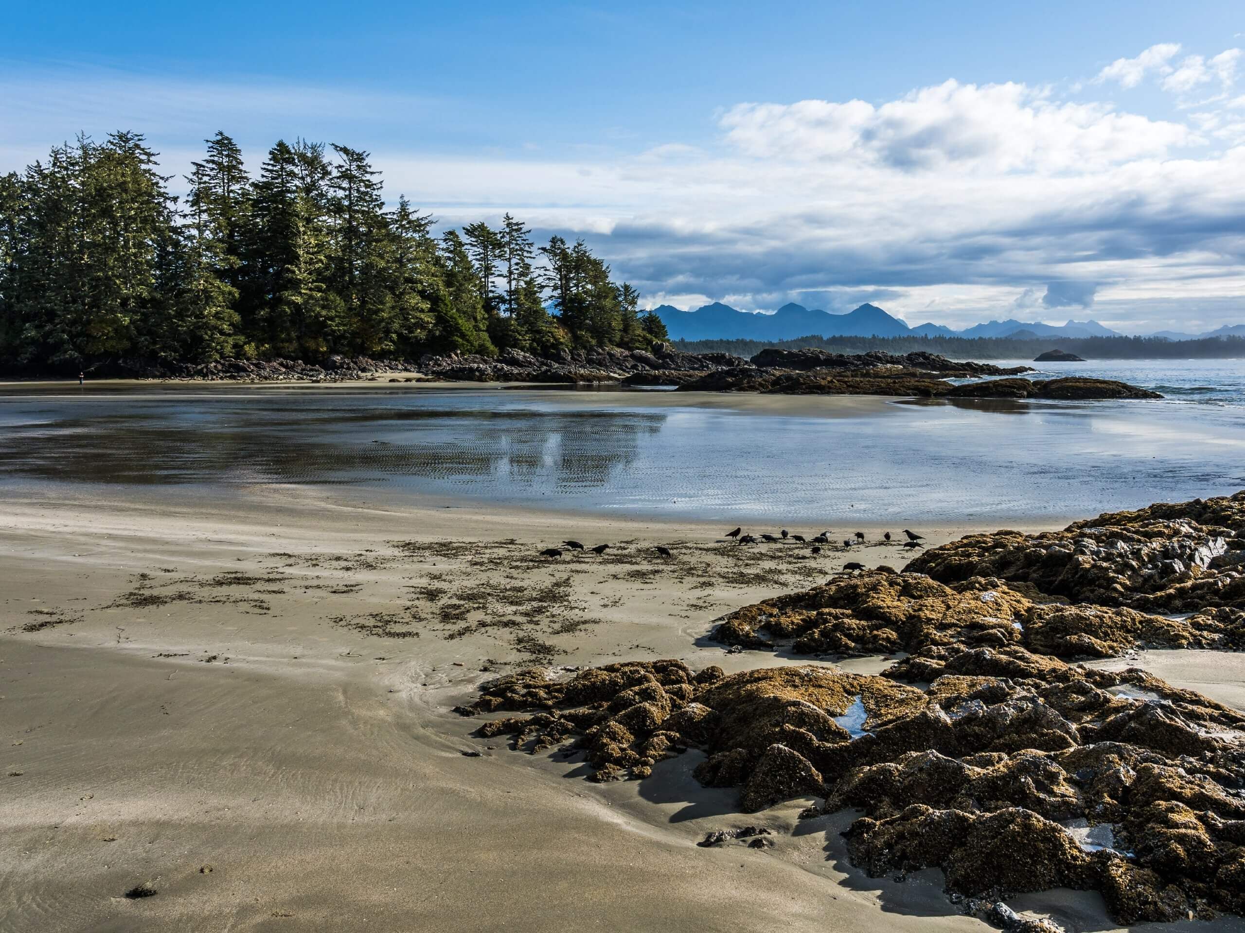 Pacific Northwest Self-Drive Tour